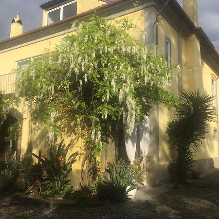 Casa Magnolia Villa Braga Buitenkant foto