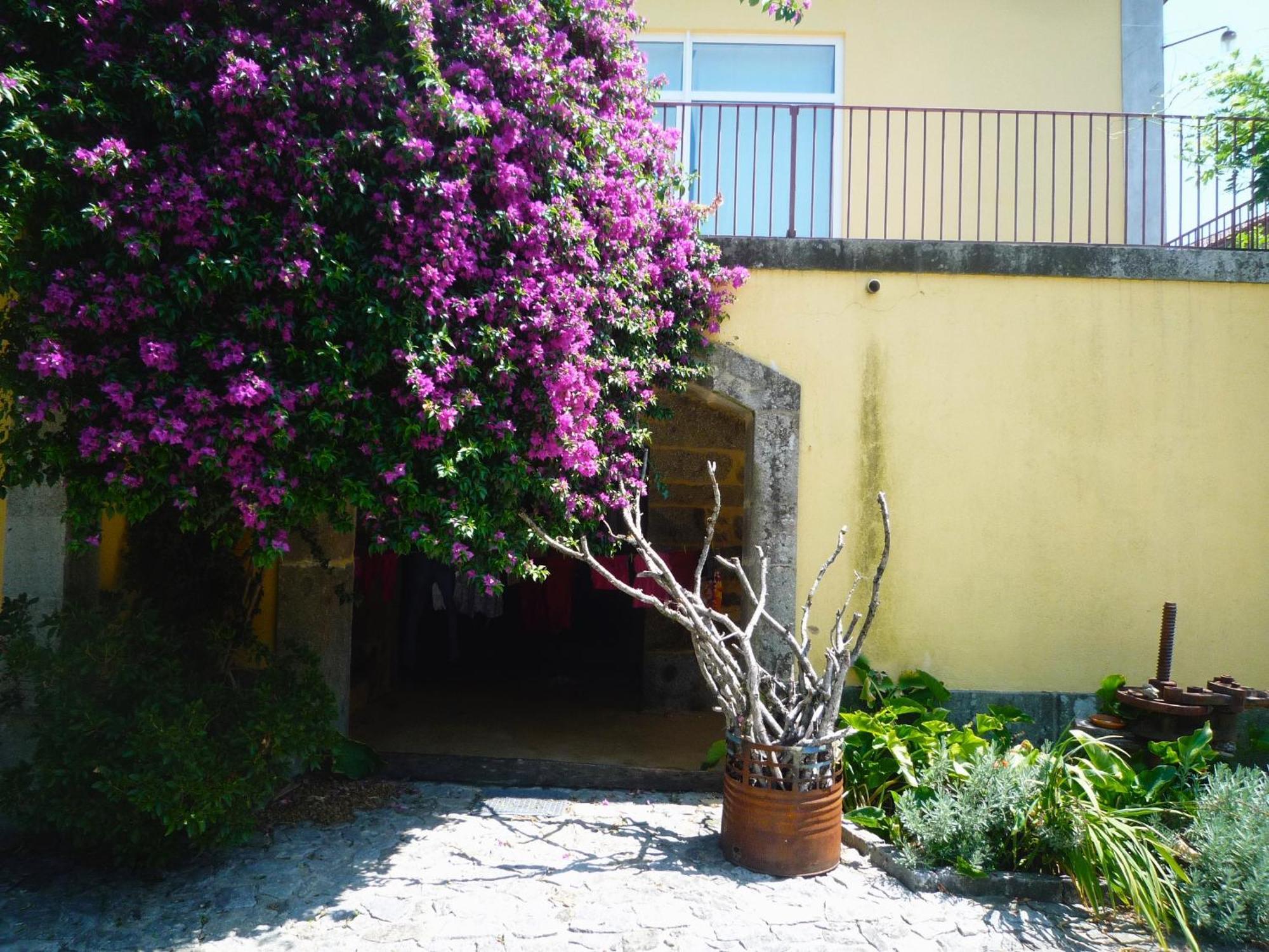 Casa Magnolia Villa Braga Buitenkant foto