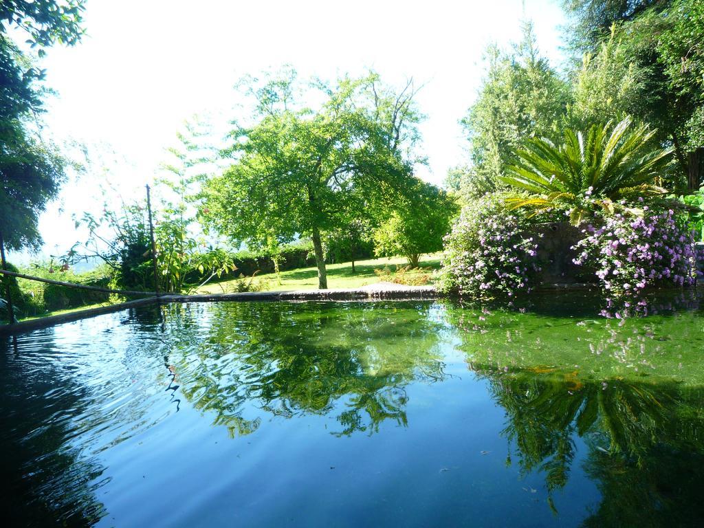 Casa Magnolia Villa Braga Buitenkant foto