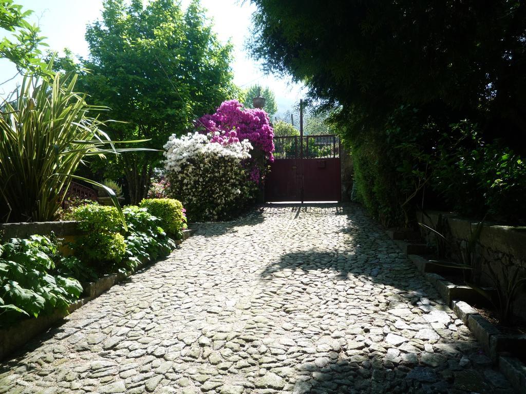 Casa Magnolia Villa Braga Buitenkant foto