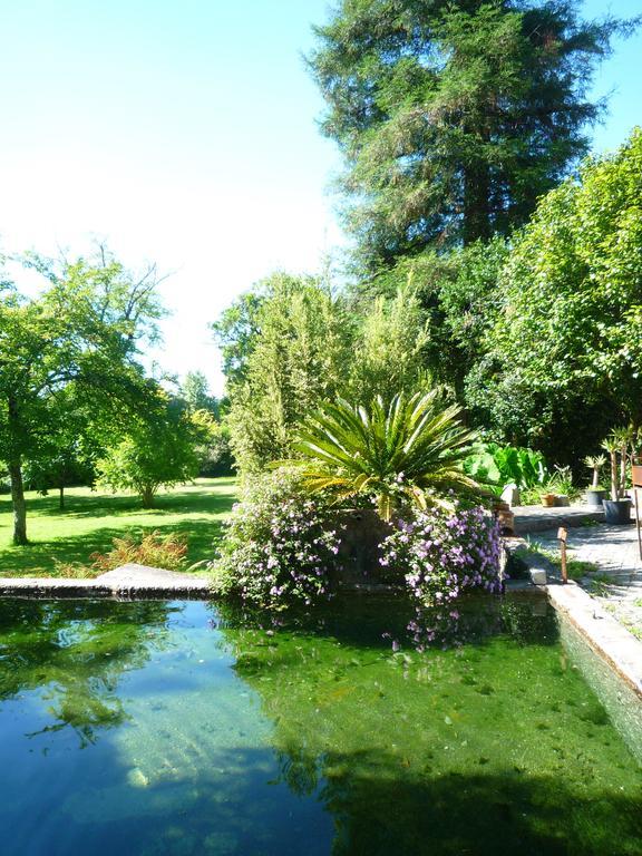 Casa Magnolia Villa Braga Buitenkant foto